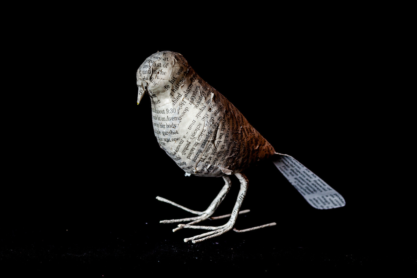 Los mejores consejos para hacer fotografía con flash