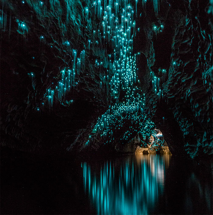 Cueva en Waitomo