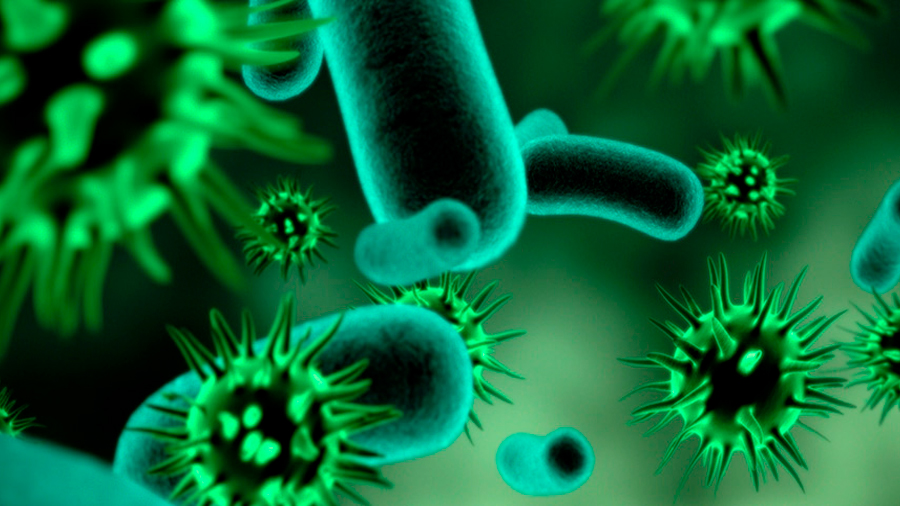 Descubren comio despertar a las bacterias dormidas y tratar infecciones crónicas