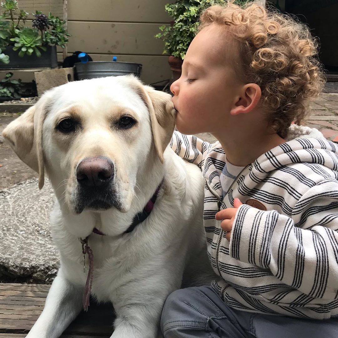 Las ventajas de regalarle un perro a tu hijo