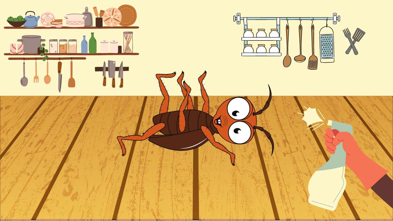 Por qué las cucarachas mueren patas arriba