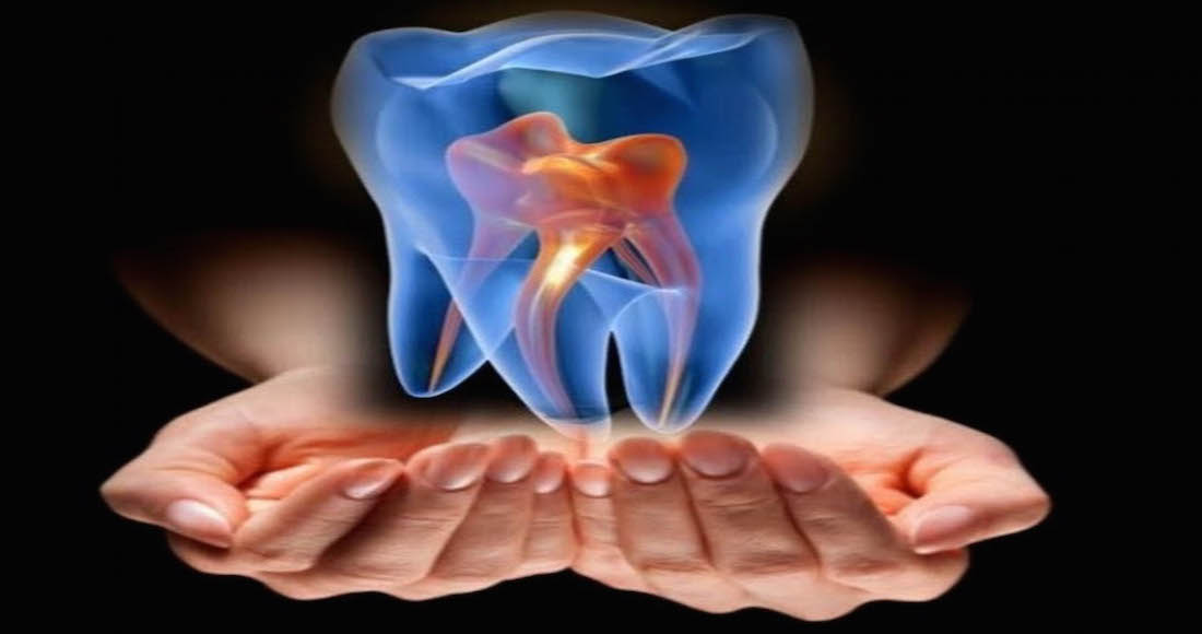 Hallan un proceso clave para la reparación dientes con células madre