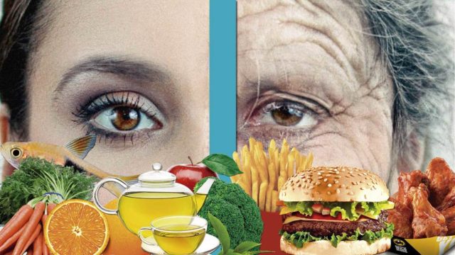 Dieta Anti Radicales Libres