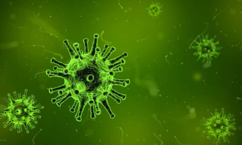 La Tularemia: Enfermedad que transmiten los mamíferos a los humanos