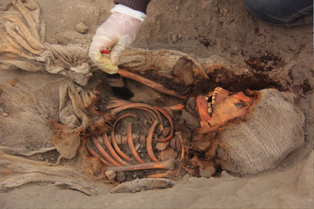 Perú: Descubren los restos de niños sacrificados de la cultura Chimu