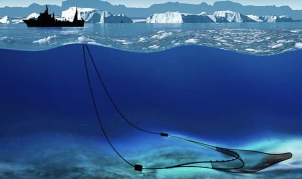 Criatura misteriosa es descubierta por científicos en la Antártida