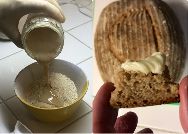 Investigadora e Inventor recrean el pan que se comía en el Antiguo Egipto