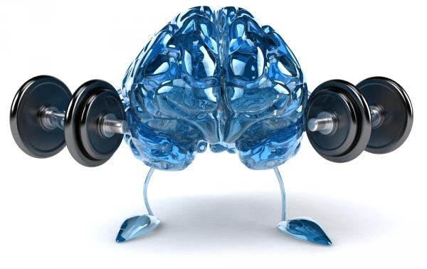 Estudio revela la clave para tener un cerebro sano