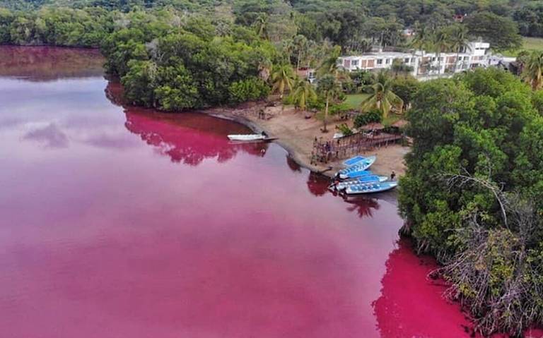 Oaxaca: Laguna de Manialtepec se tiñe de rosa