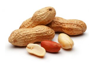 Las legumbres y el maní, fuente de valiosas proteínas