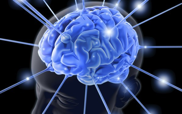 Memoria - El Cerebro es plástico