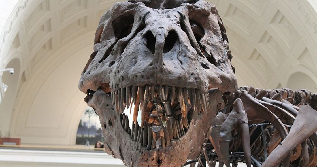 El Tiranosaurus Rex es el animal con la mordedura más potente de la historia