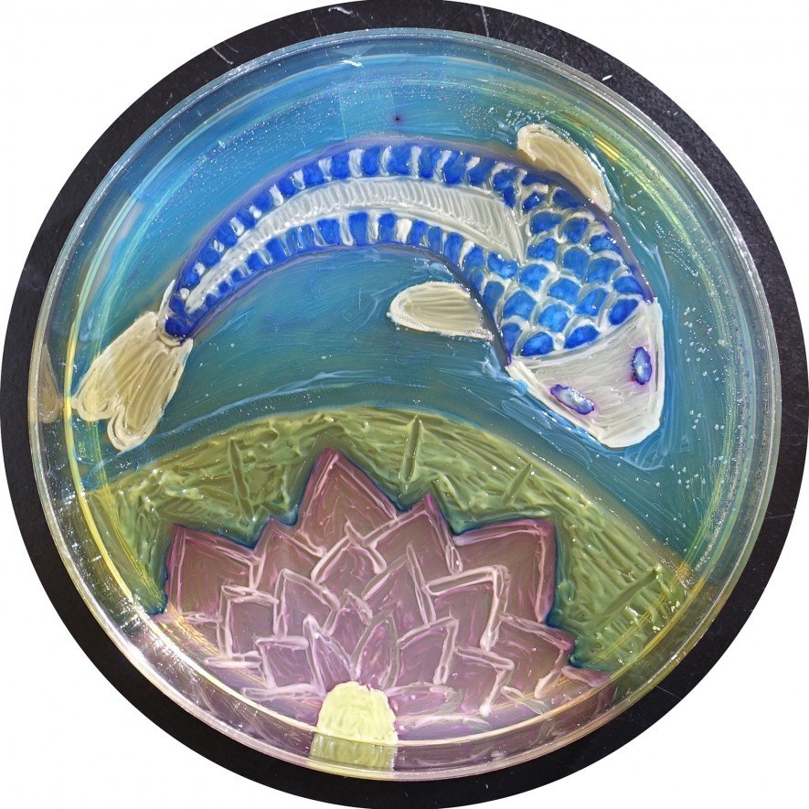 Novedad creativa: Obras de arte elaboradas con bacterias vivas