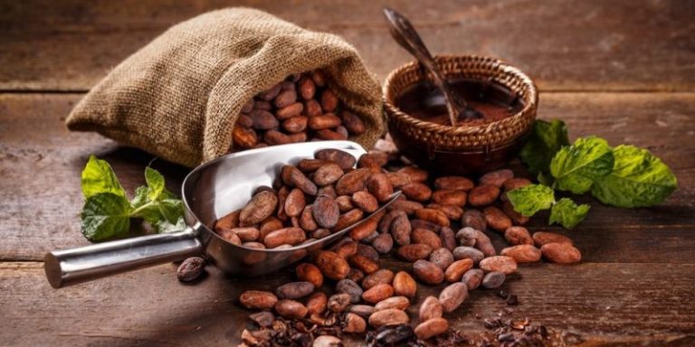 El consumo del cacao y los beneficios que aporta a la piel del rostro