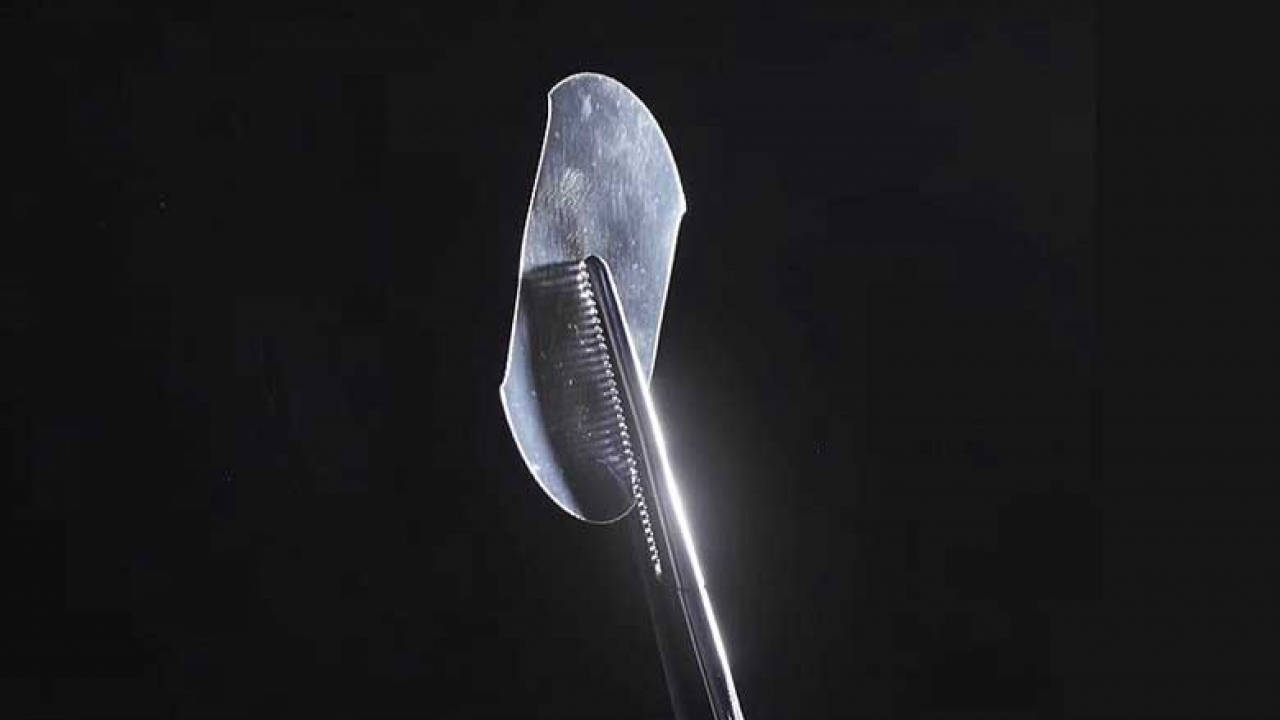 Nueva cinta adhesiva inspirada en telaraña cierra las heridas en segundos