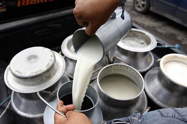 Producción de leche