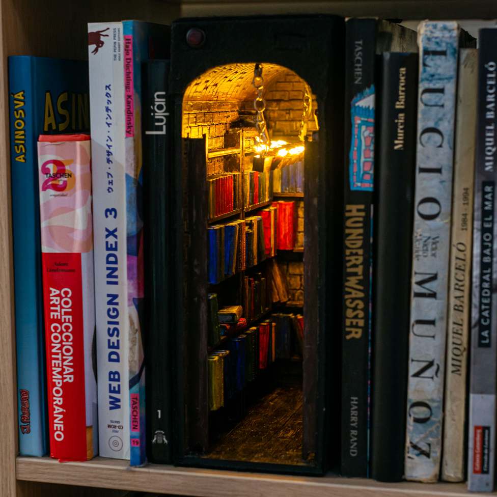 Conozca y observe a los cautivadores "Booknooks"