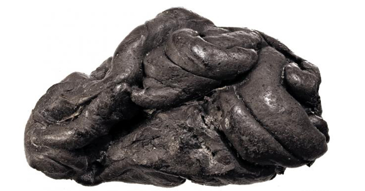 Chicle de 5700 años aun conserva el ADN de la mujer que lo mascó