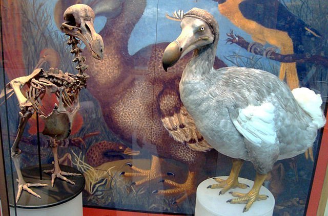 Los museos de ciencia del mundo actualmente exponen verdaderas joyas