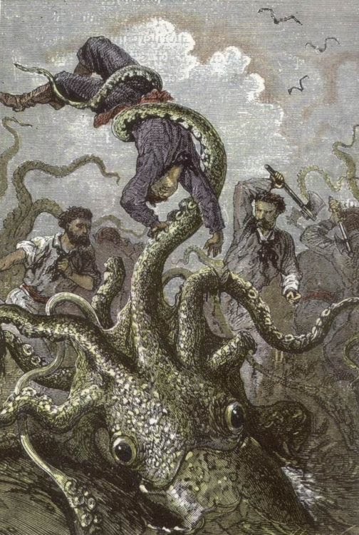Ciencia: Consiguen la secuencia completa del genoma del calamar gigante