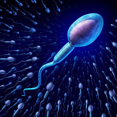 En Inglaterra estudian la probabilidad de donar esperma tras la muerte