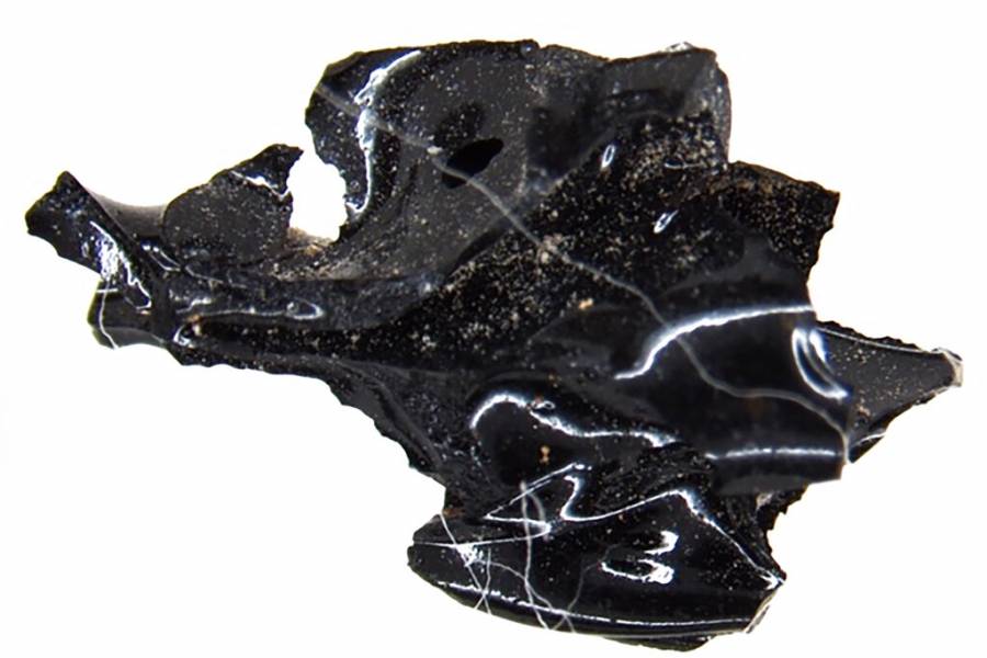 El cerebro de una persona se convirtió en vidrio tras erupción del Vesubio
