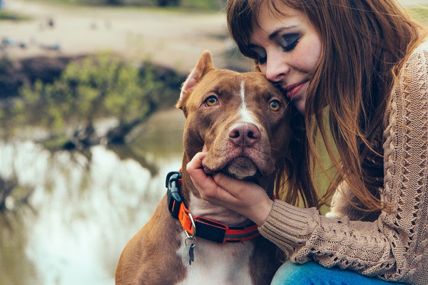 La leishmaniosis de los animales está siendo diagnosticada en personas