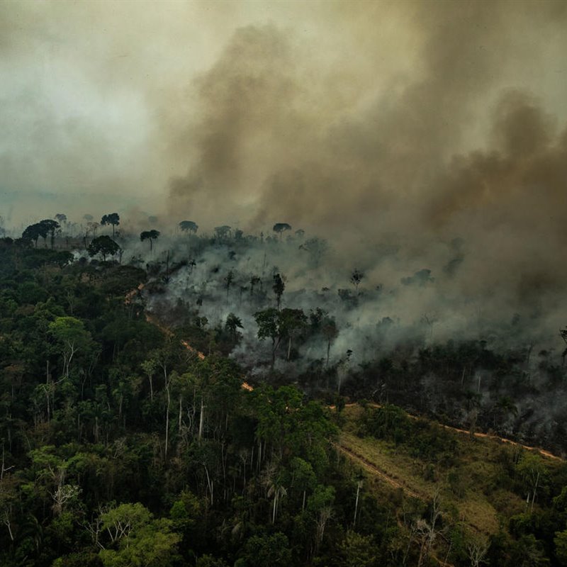 Los grandes ecosistemas del planeta pueden colapsar rápidamente