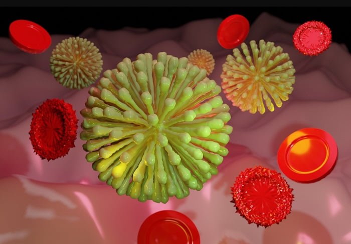 Los Neutrófilos son las células causantes de la muerte por coronavirus