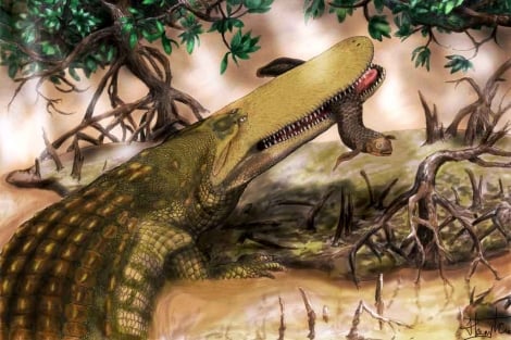 Los cocodrilos surcaban los océanos como si fueran ballenas