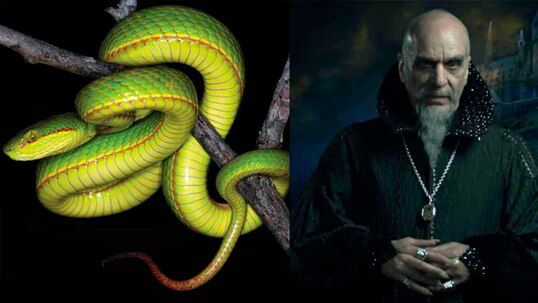 Una nueva sepiente es bautizada en honor a Salazar Slytherin