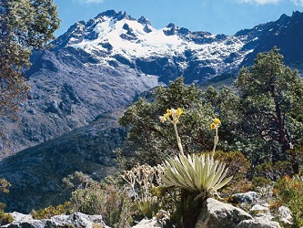 El 2 de mayo de 1952 es creado el Parque nacional Sierra Nevada