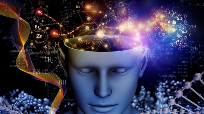 Resultados del experimento más grande del mundo sobre la inteligencia