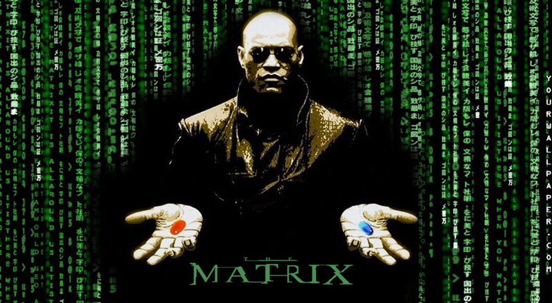 Audio de el Gocho del WhatsApp