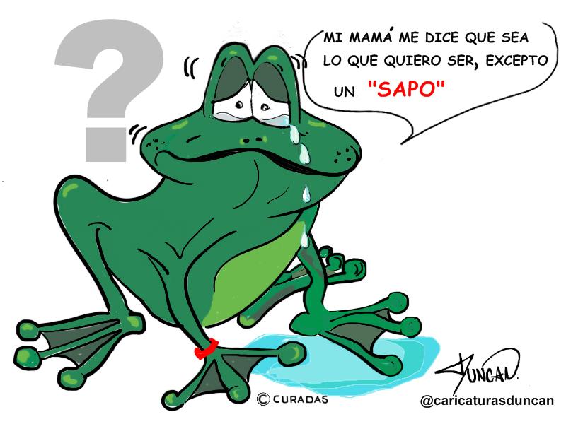 Lo que quiera excepto... - Caricatura de Duncan