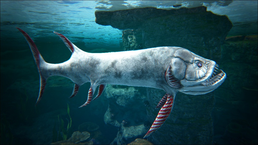 Patagonia, Argentina: Hallan fósil de pez gigante de 70 millones de años