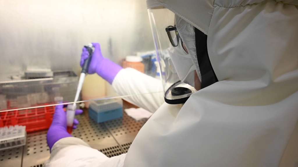 china coronavirus