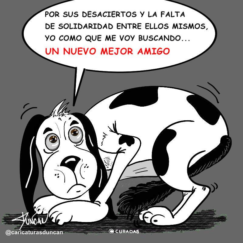 Un nuevo mejor amigo - Caricatura de Duncan