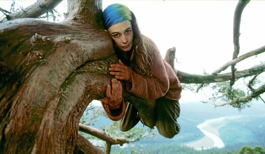 Julia "Butterfly" Hill vivió 738 días en la cima de una secuoya milenaria
