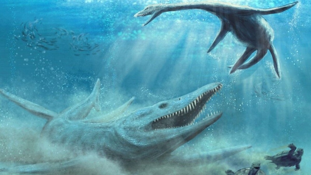 Fósil: Descubren un ictiosaurio con un talatosaurio de 4 metros adentro