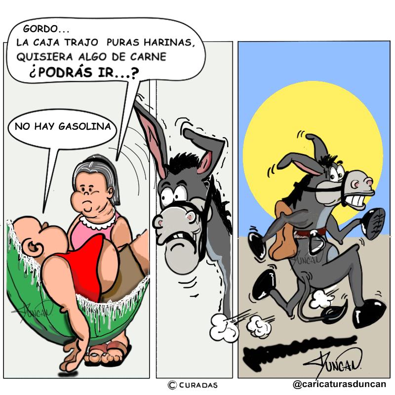Burro, pero no gafo - Caricatura de Duncan