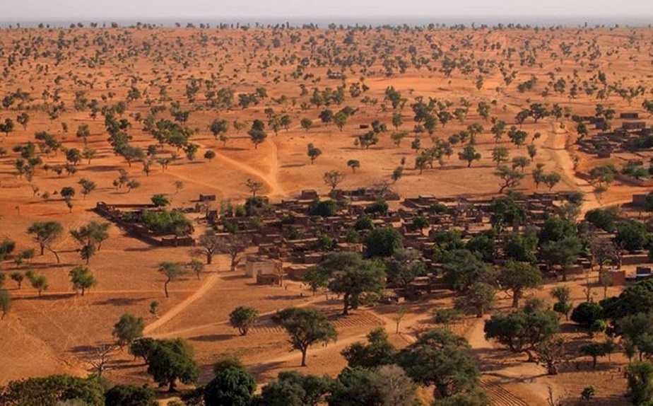 Hallazgo: El desierto del Sahara ocultaba millones de árboles en su interior