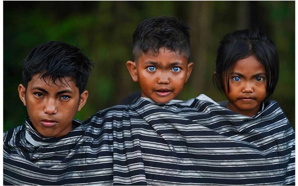 Korchnoi Pasaribu localizó a los butoneses, la tribu de ojos azules en la isla de Buton, Indonesia. Se cree que se debe a una mutación.
