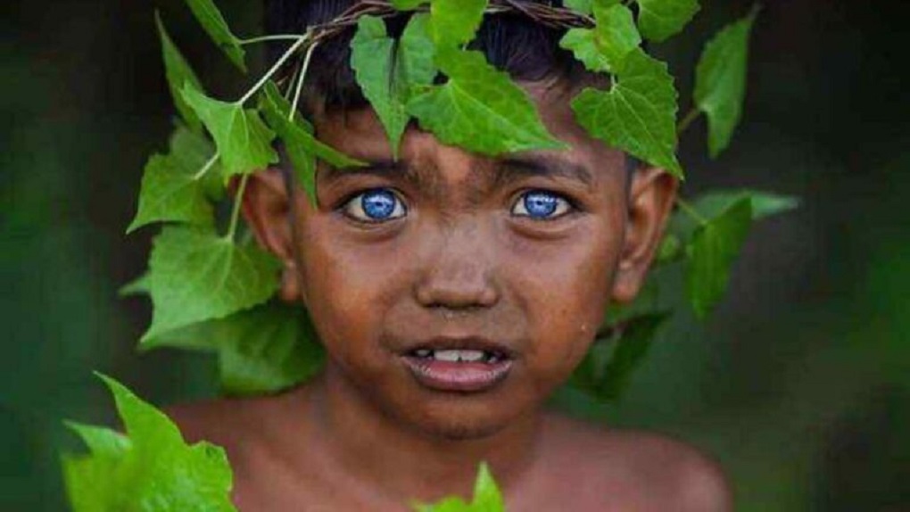 Korchnoi Pasaribu localizó a los butoneses, la tribu de ojos azules en la isla de Buton, Indonesia. Se cree que se debe a una mutación.