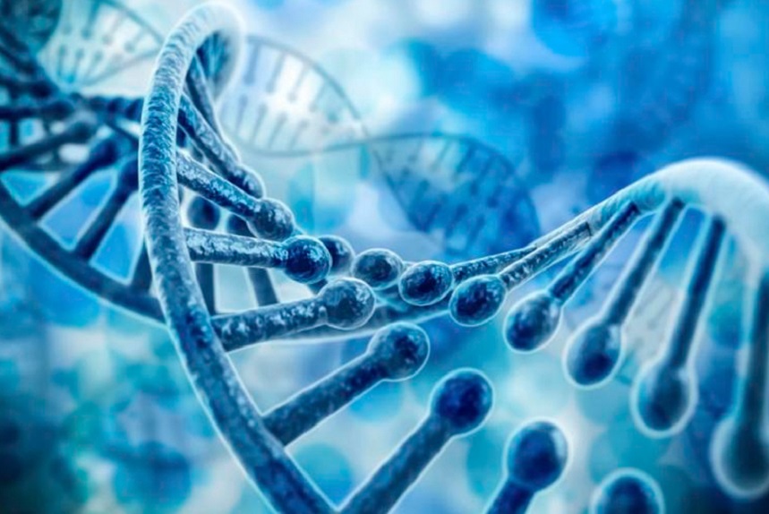 Se descubren nuevos genes vinculados al autismo y a otras condiciones