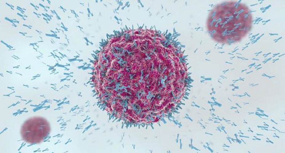 Anticuerpos: La nueva esperanza científica contra la enfermedad Covid-19
