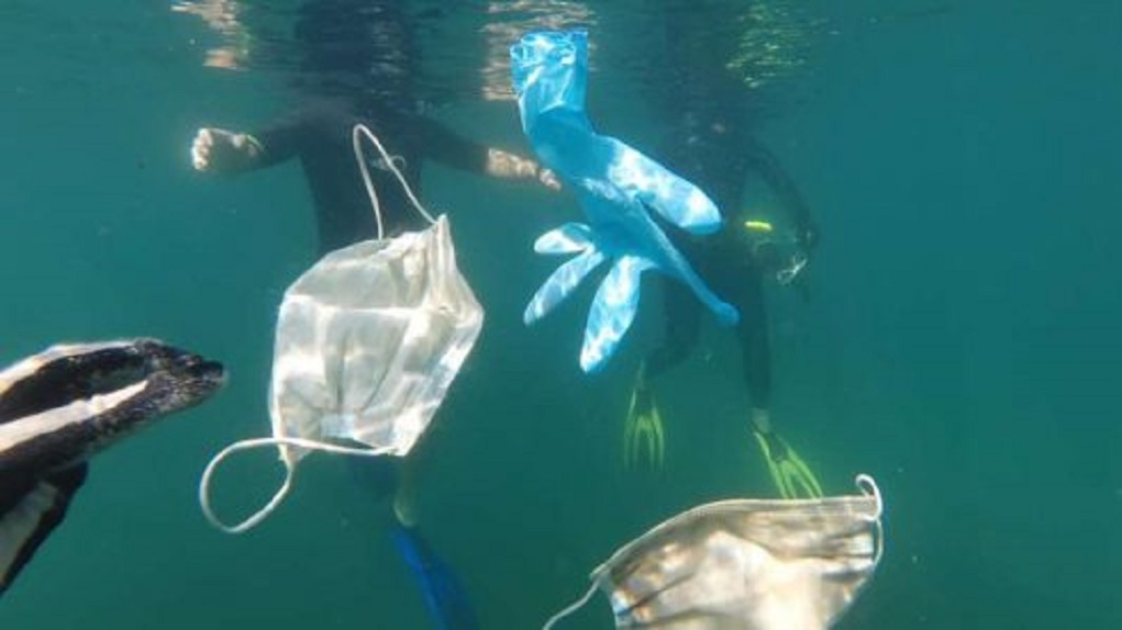 Los desechos generados por el Covid-19 amenazan estabilidad oceánica