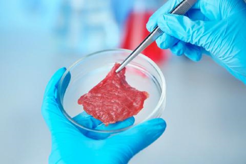 Científicos cultivan en el laboratorio carne humana para consumo