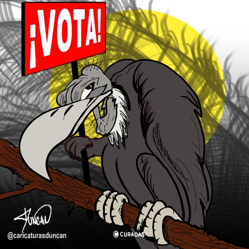 Empezó la campaña - Caricatura de Duncan