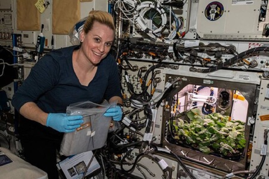 Plant Habitat-02: Astronauta cultiva los primeros rábanos en la ISS